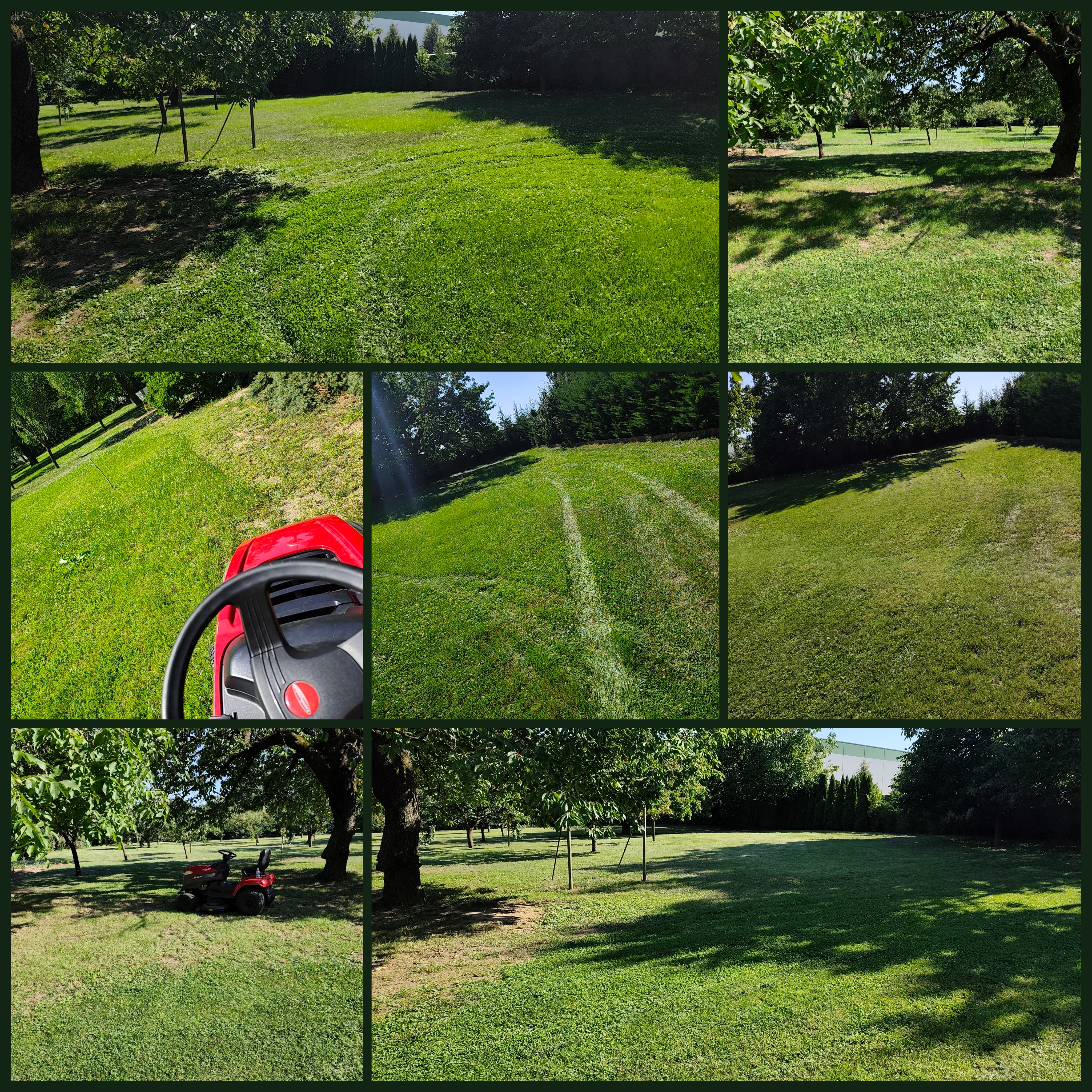 Pázsitápolás referencia munka