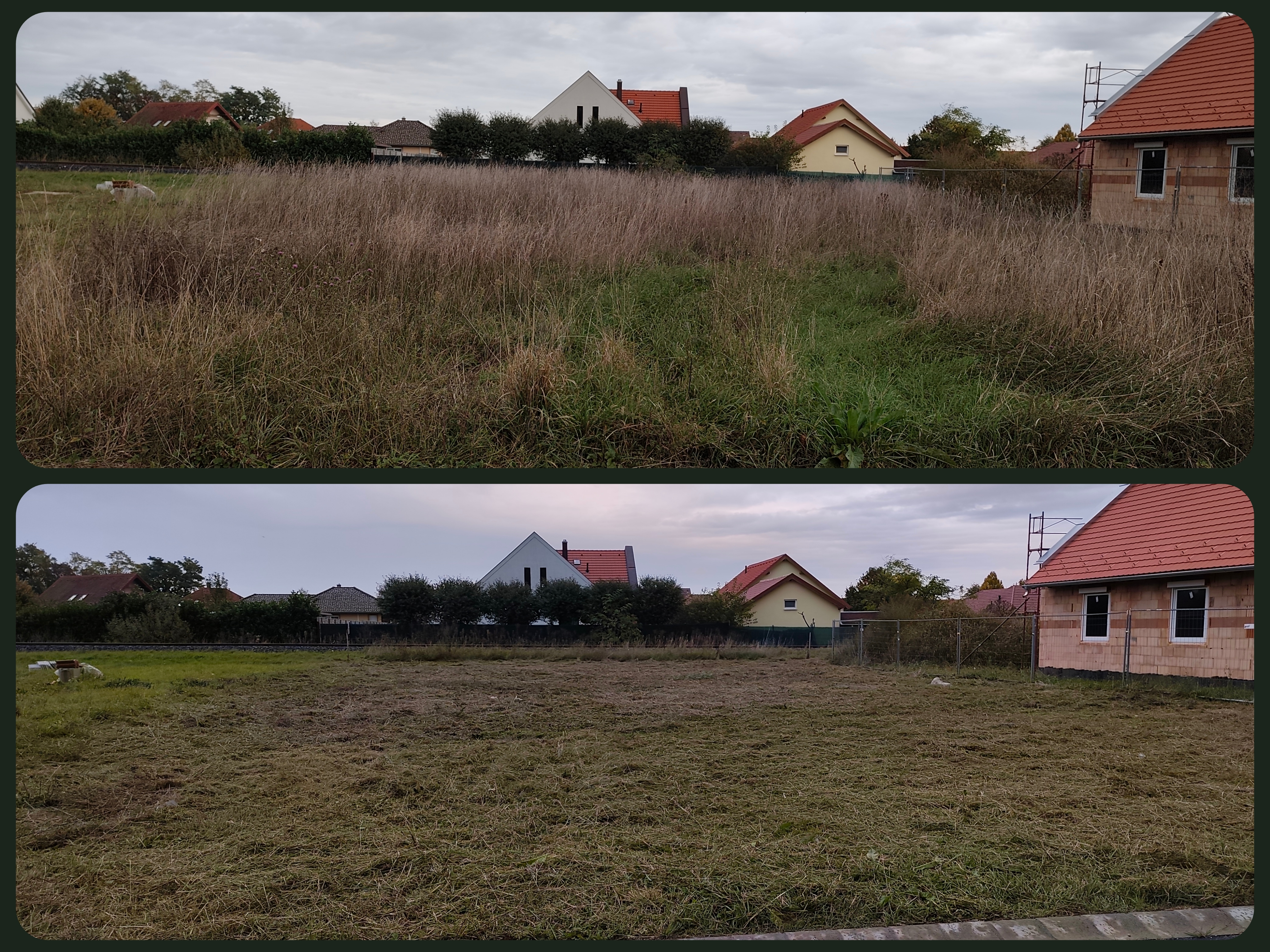 Kaszálás és bozóttisztítás