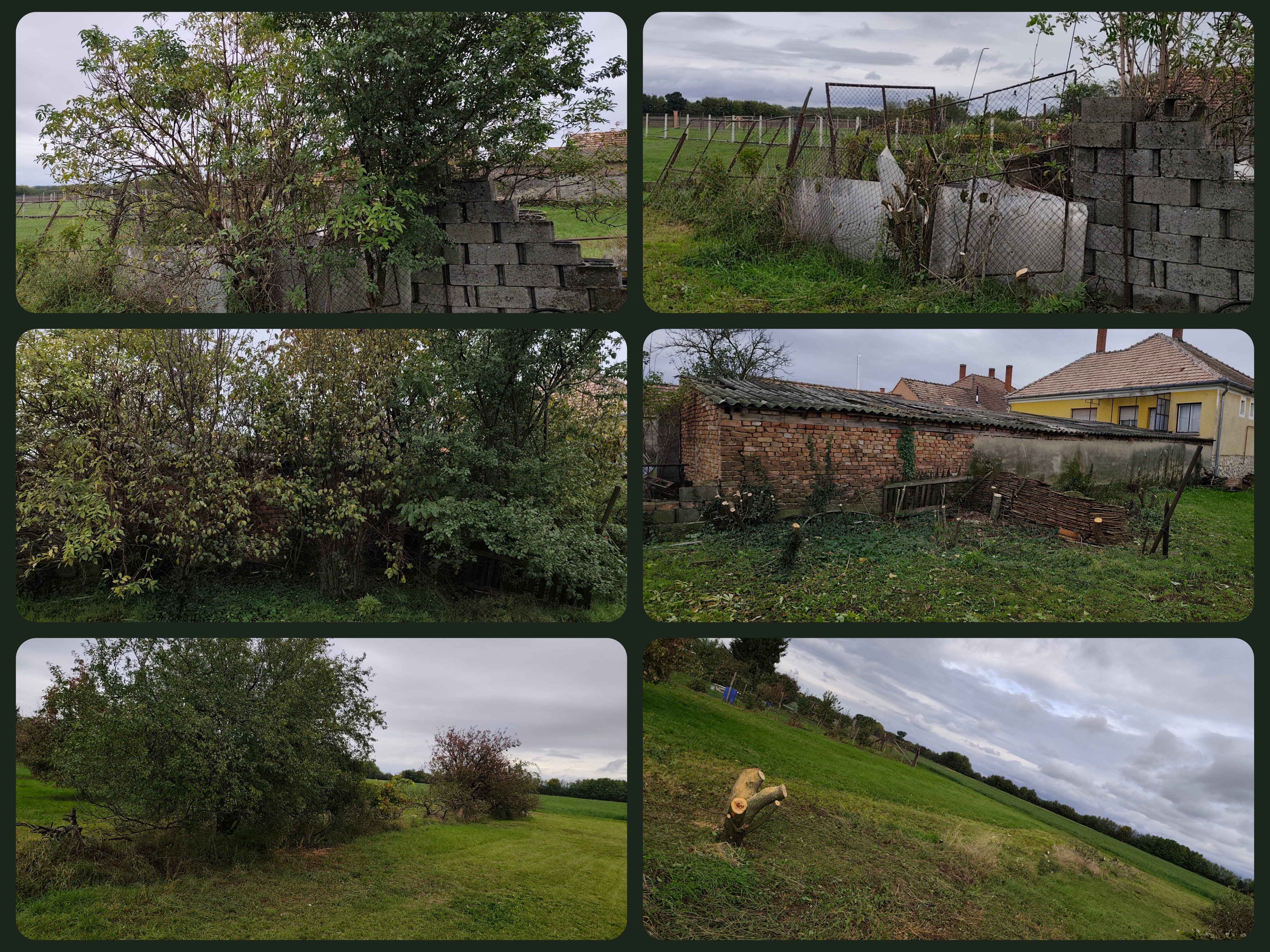 Kertszépítés és kertépítés